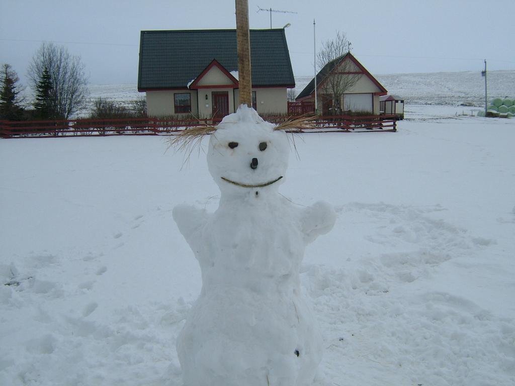 Stekkjardalur Holiday Home Svínavatn Екстериор снимка