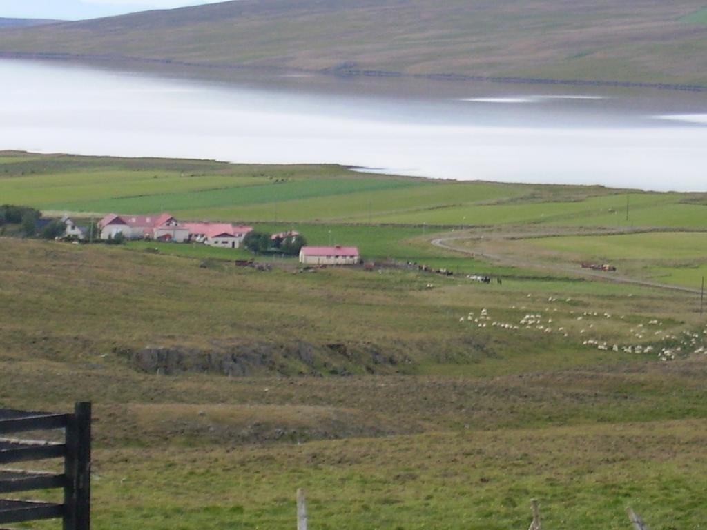 Stekkjardalur Holiday Home Svínavatn Екстериор снимка